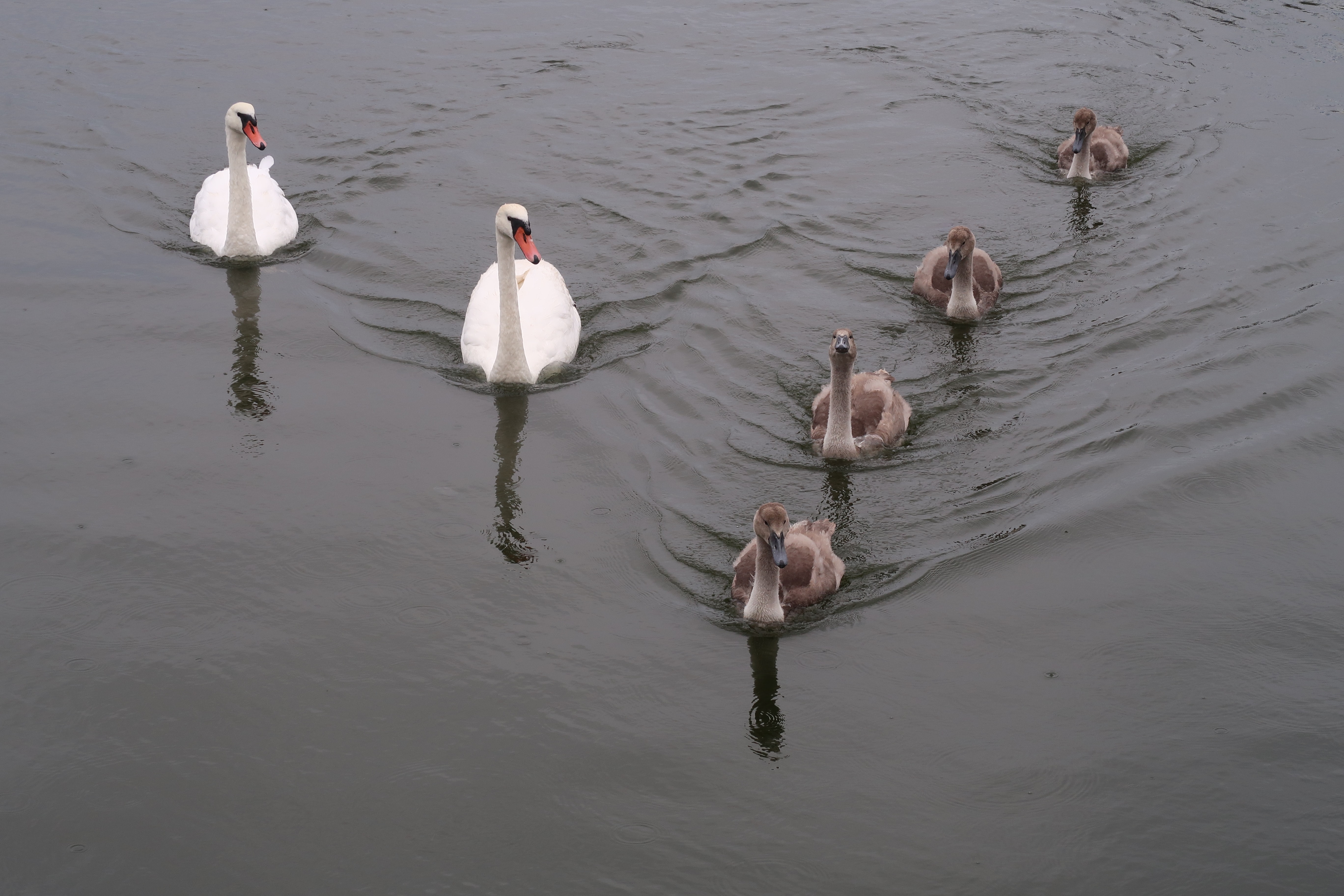 The What and Why of Conscious Leadership